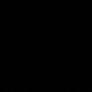 Meet your Posher, Carlie